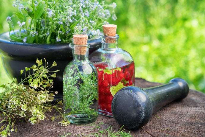 Medicinal Plants: Healing from Your Home Garden
