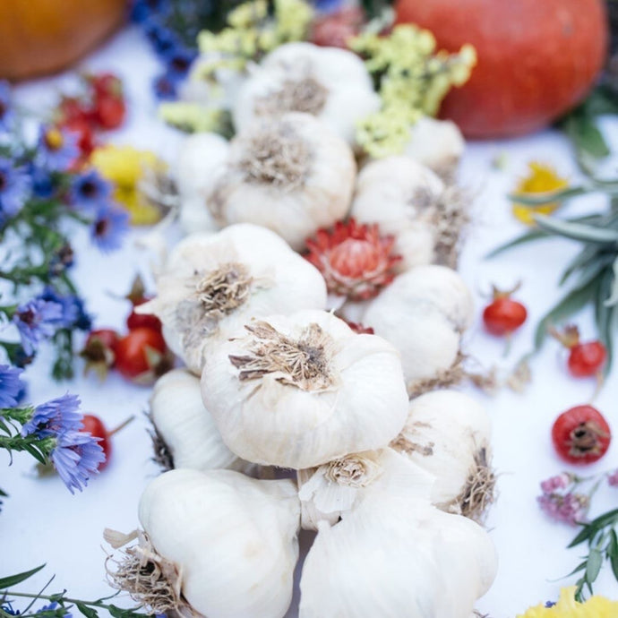 Garlic – Pungent & Spicy: adds flavor to food while also providing many medicinal benefits