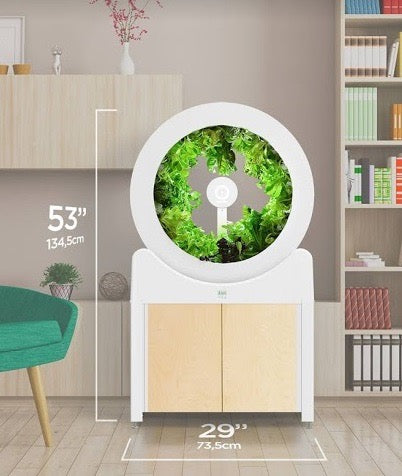 Grow Fresh Veggies Year-Round in Your House with OGarden Smart