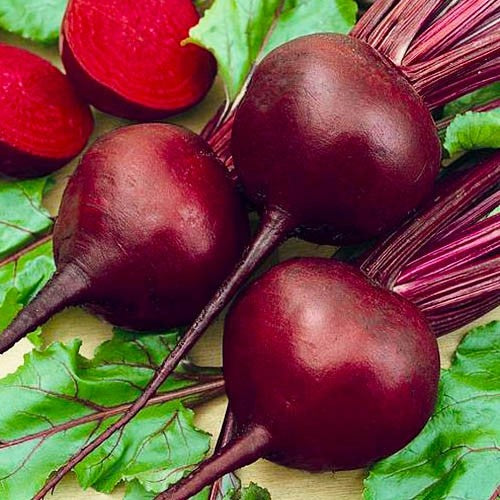 Musings on Everything from the Soil, the Soul, and how to cook Super Healthy Beets